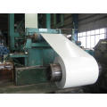 Pre-Painted Steel Coil Steel Sheet